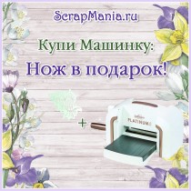 Новинки и вновь в продаже Evolution Advanced!