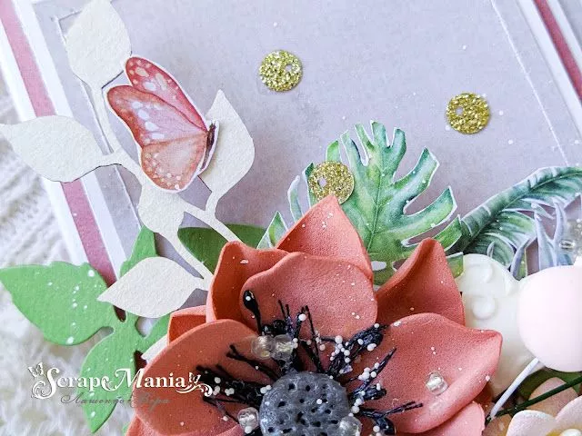 Вера Лотк6.jpg Вера Лотк6.jpg