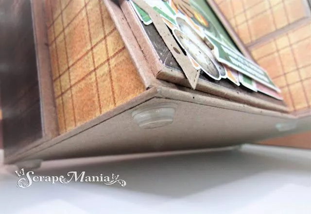 Надежда Горг12.JPG Надежда Горг12.JPG