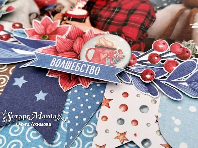 Ольга Астр4.jpg Ольга Астр4.jpg