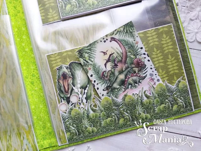 Ольга Нпап12.jpg Ольга Нпап12.jpg