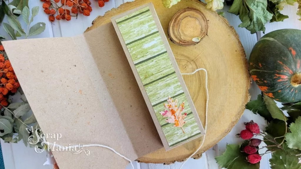 Наталья П шокол11.jpg Наталья П шокол11.jpg