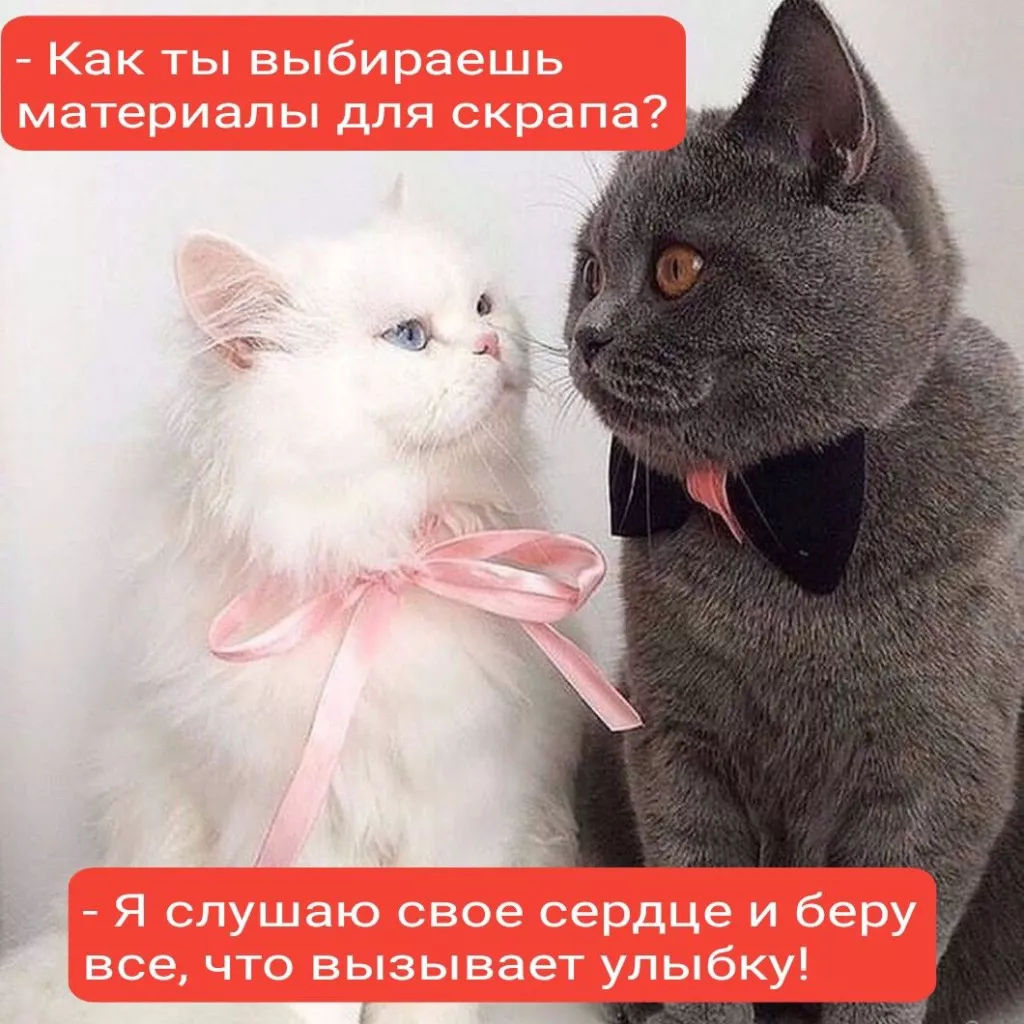 Ox0aKXsRfoY.jpg Ox0aKXsRfoY.jpg