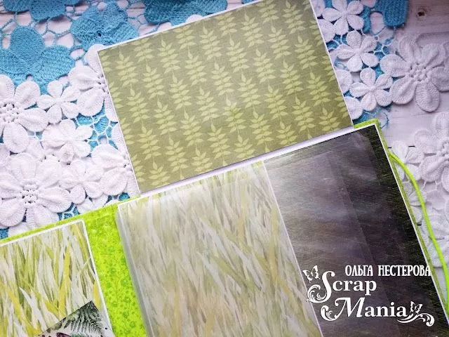 Ольга Нпап16.jpg Ольга Нпап16.jpg