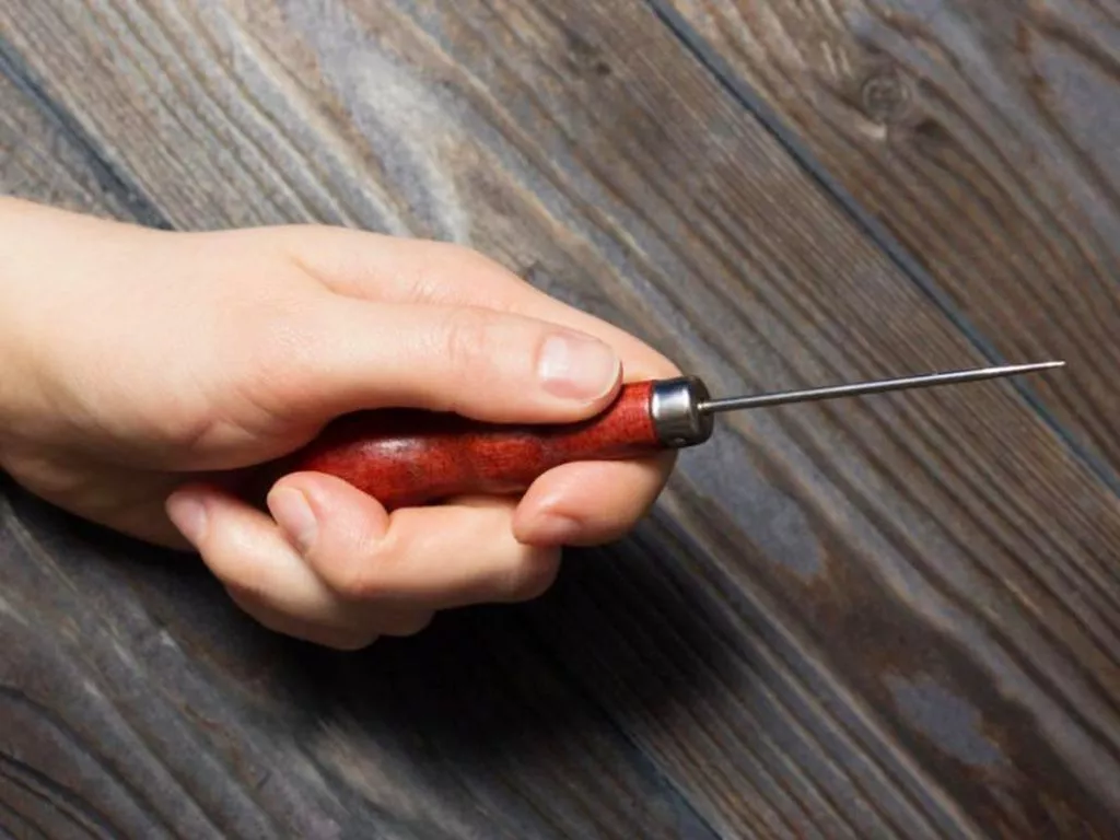 shilo-1.width-1200.jpg shilo-1.width-1200.jpg