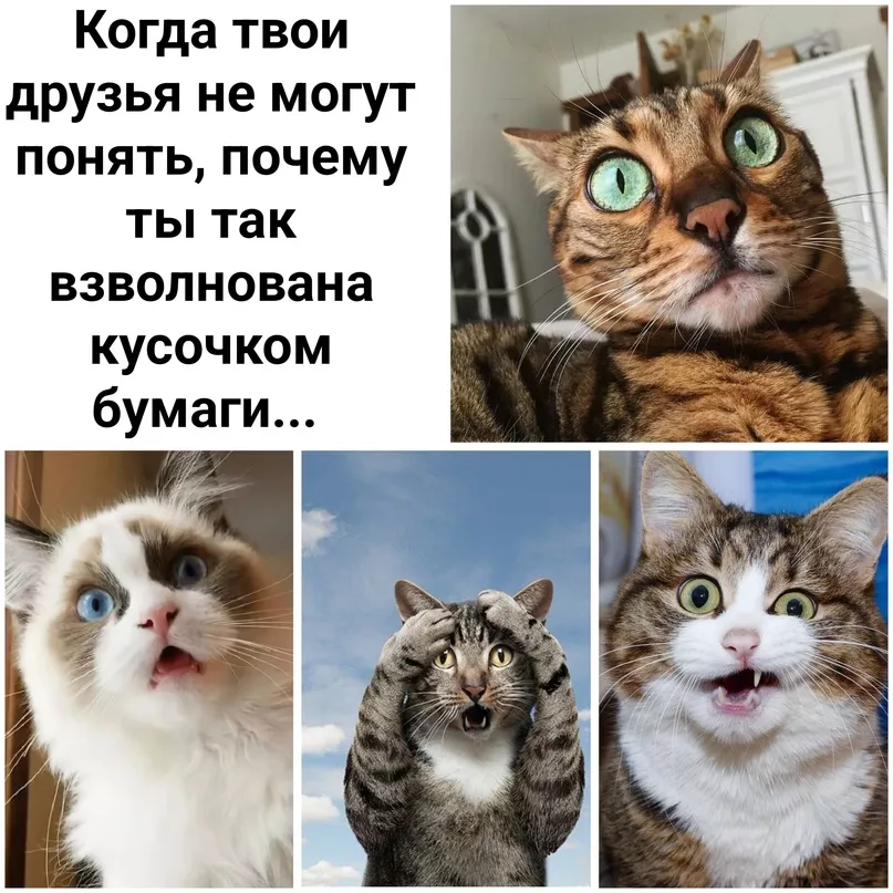 Sw214xdSe7o.jpg Sw214xdSe7o.jpg