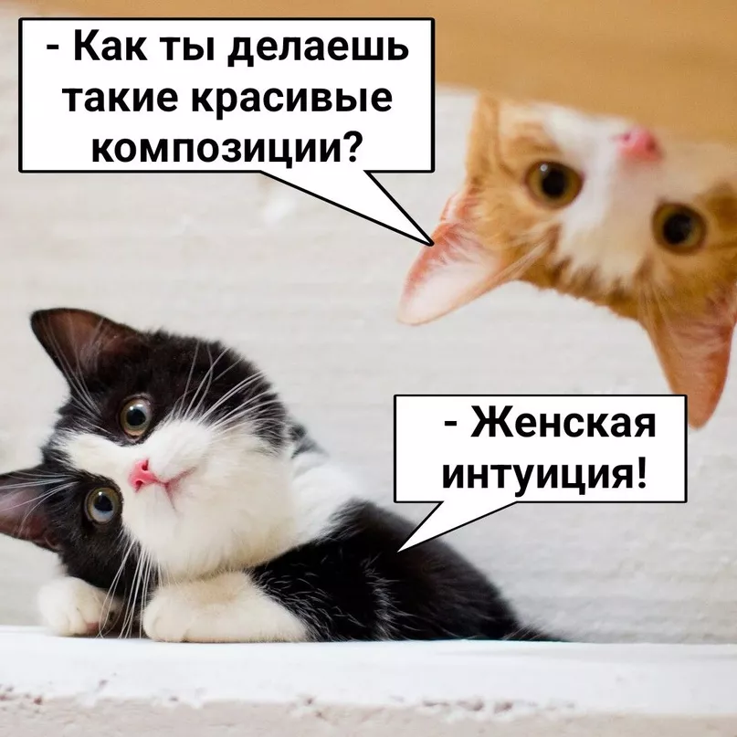 zEWzahiIi3Q.jpg zEWzahiIi3Q.jpg