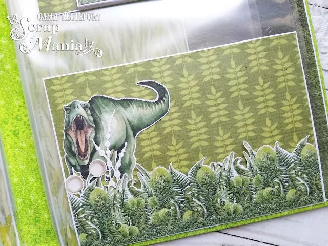 Ольга Нпап10.jpg Ольга Нпап10.jpg