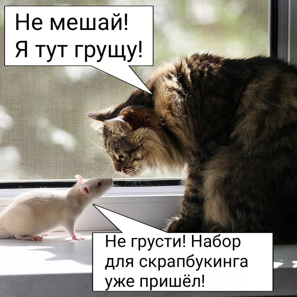 ZWYfK2A_Bss.jpg ZWYfK2A_Bss.jpg