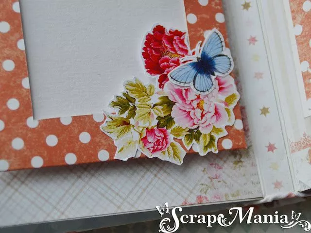 Ксения Саль10.jpg Ксения Саль10.jpg