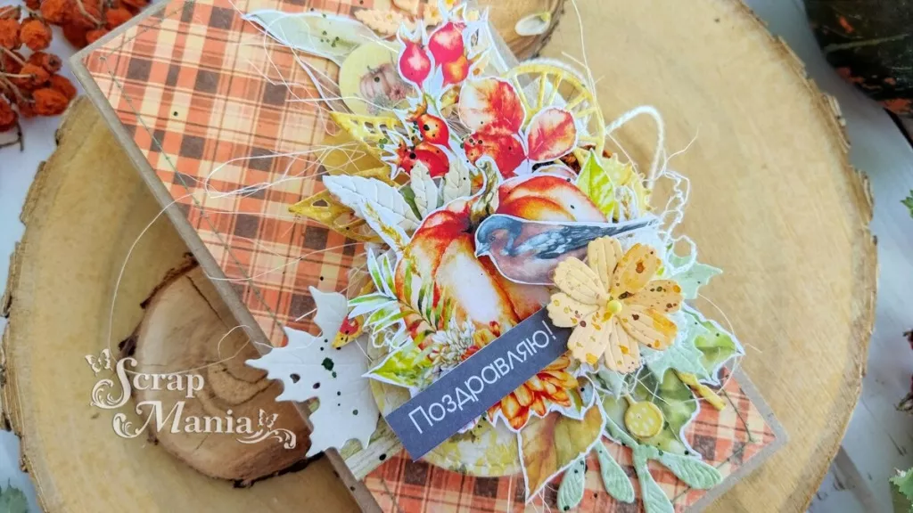 Наталья П шокол6.jpg Наталья П шокол6.jpg