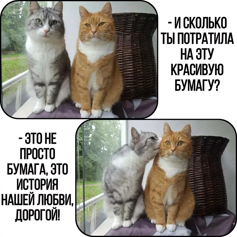 r1LmslQrSXU.jpg r1LmslQrSXU.jpg