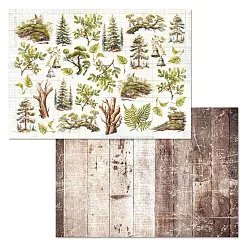 Набор бумаги А4 "Голос природы", 12 листов (ScrapMania) Набор бумаги А4 "Голос природы", 12 листов (ScrapMania)