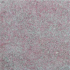 Пудра для эмбоссинга непрозрачная "Pistachio. Фисташка" (WOW) Пудра для эмбоссинга непрозрачная "Pistachio. Фисташка" (WOW)