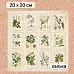 Калька 20х20 см "Заповедник 19", плотность 110 гр/м2 (ScrapMania) Калька 20х20 см "Заповедник 19", плотность 110 гр/м2 (ScrapMania)