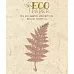 Нож для вырубки "Папоротник" (EcoPaper) Нож для вырубки "Папоротник" (EcoPaper)