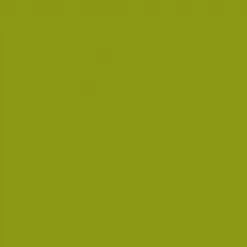 Кардсток 30,5х30,5 см с текстурой холста "Мох" (Kaiser) Кардсток 30,5х30,5 см с текстурой холста "Мох" (Kaiser)