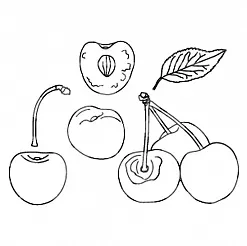 Набор штампов "Вишня-черешня" (Скрапклуб) Набор штампов "Вишня-черешня" (Скрапклуб)