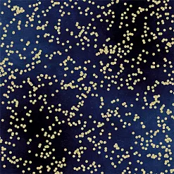 Бумага "Blueness" (SunnyCraft) Бумага "Blueness" (SunnyCraft)