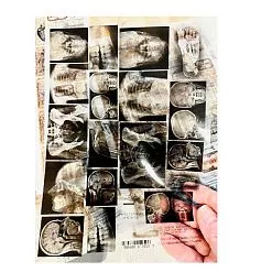 Веллум А5 "Behind Closed Doors. Снимки" (Alchemy of Art) Веллум А5 "Behind Closed Doors. Снимки" (Alchemy of Art)