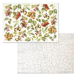 Набор бумаги А4 "Голос природы", 12 листов (ScrapMania) Набор бумаги А4 "Голос природы", 12 листов (ScrapMania)