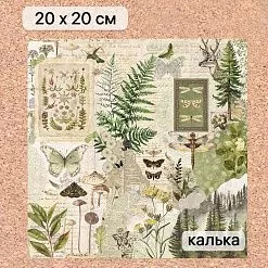 Калька 20х20 см "Заповедник 15", плотность 110 гр/м2 (ScrapMania) Калька 20х20 см "Заповедник 15", плотность 110 гр/м2 (ScrapMania)