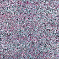 Пудра для эмбоссинга непрозрачная "Dragon Fruit. Драконий фрукт" (WOW) Пудра для эмбоссинга непрозрачная "Dragon Fruit. Драконий фрукт" (WOW)