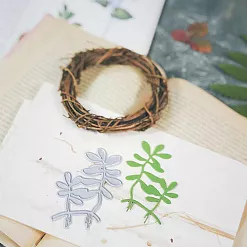 Нож для вырубки "Суккулент" (EcoPaper) Нож для вырубки "Суккулент" (EcoPaper)