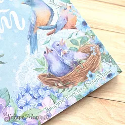 Блокнот на пружине А6 "Наше гнездышко", 16 листов (ScrapMania) Блокнот на пружине А6 "Наше гнездышко", 16 листов (ScrapMania)