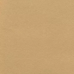 Кардсток текстурированный 30х30 см, латте (Рукоделие) Кардсток текстурированный 30х30 см, латте (Рукоделие)