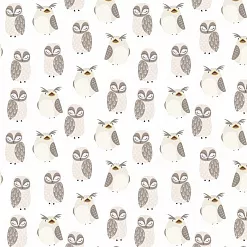 Бумага "Owls" (SunnyCraft) Бумага "Owls" (SunnyCraft)