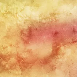 Бумага "Butterflies" (SunnyCraft) Бумага "Butterflies" (SunnyCraft)