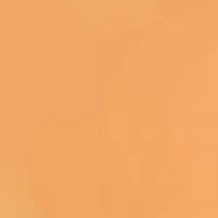 Кардсток Bazzill Basics 30,5х30,5 см однотонный гладкий, цвет персиковый Кардсток Bazzill Basics 30,5х30,5 см однотонный гладкий, цвет персиковый