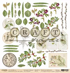 Бумага "Гербарий. Находки" (CraftPaper) Бумага "Гербарий. Находки" (CraftPaper)