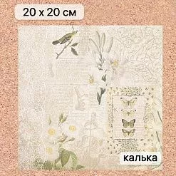 Калька 20х20 см "Заповедник 11", плотность 110 гр/м2 (ScrapMania) Калька 20х20 см "Заповедник 11", плотность 110 гр/м2 (ScrapMania)