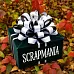 Подарок "Осенний сюрприз. Страшно прекрасный" (ScrapMania) Подарок "Осенний сюрприз. Страшно прекрасный" (ScrapMania)
