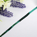 Лента из пайеток "Зелёная", ширина 0,6 см, длина 3 м (АртУзор)