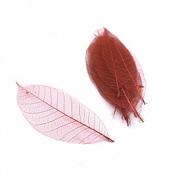 Скелетированные листья "Бордовые", 10 шт (Fleur-design)