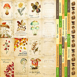 Бумага "Botany autumn. Карточки 2" на русском и английском (Фабрика Декору)