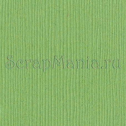 Кардсток Bazzill Basics 30,5х30,5 см однотонный льна, цвет пастельный зеленый 