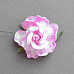 Цветок дикой розы "Нежно-розовая"