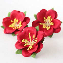 Цветок сакуры "Красный" (Craft)