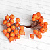 Букет ягод "Рябинка в сахаре красно-оранжевая", 40 шт
