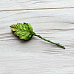 Набор листьев шиповника на стебельке"Зеленые", 20 шт (Craft)