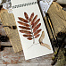 Набор бумаги 30х30 см "Осенний лес", 12 листов (EcoPaper)