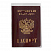 Обложка для паспорта "Апельсин", прозрачная