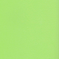 Кардсток с текстурой "Зеленая лужайка", 30х30 см (ScrapBerry's)