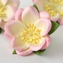 Цветок сакуры "Розовый с молочным" (Craft)