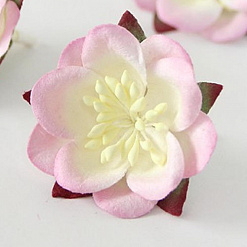 Цветок сакуры "Розовый с белым" (Craft)