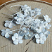 Набор мини-цветочков "Светло-голубые с белым", 20 шт (Craft)